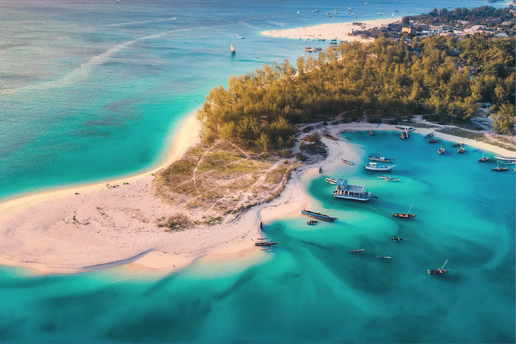Zanzibar@2x