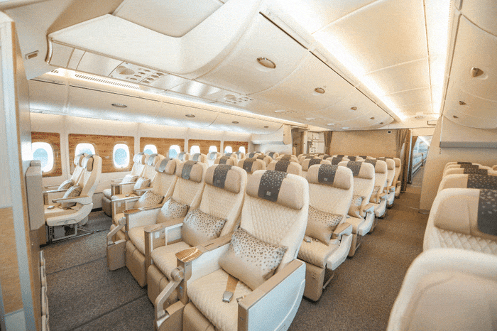 premium economy gif-1 premium economy gif-1