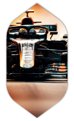 What-to-do-GIF-1 What-to-do-GIF-1