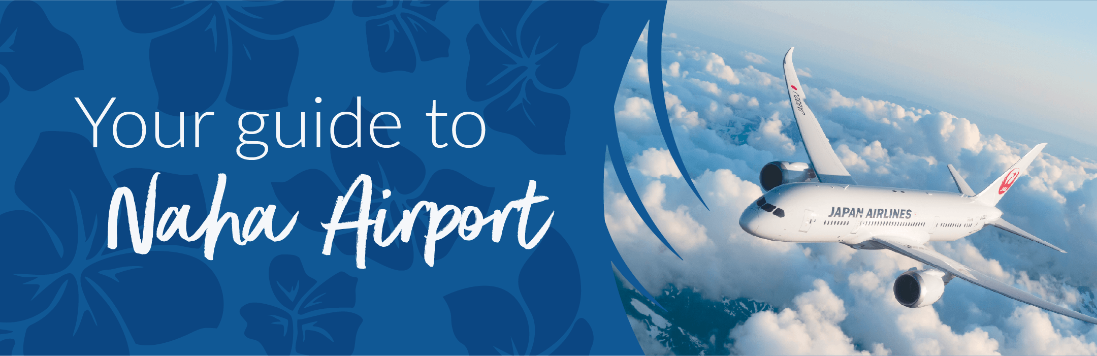 Aviate Flights Emirates August Campaign