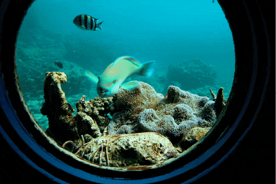 Dive sites