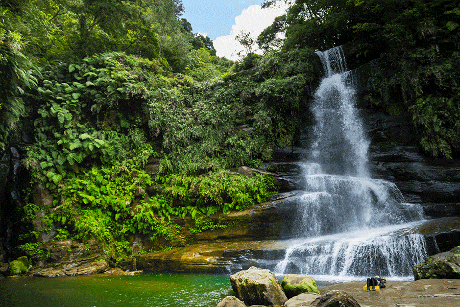 Wonderful nature